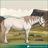Horse Color:Perlino Dun 