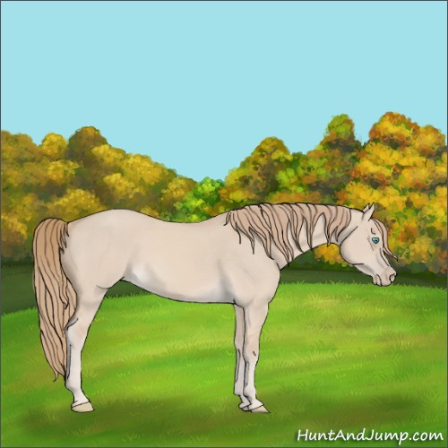 Horse Color:Smoky Creme Dun 