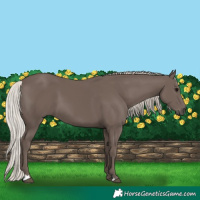Horse Color:Silver Black 