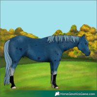 Horse Color:ERROR: UNKNOWN ANOMALY