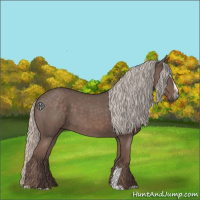 Horse Color:Silver Blue Roan Sabino 