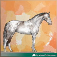 Horse Color:Gray Amber Champagne Tobiano Appaloosa