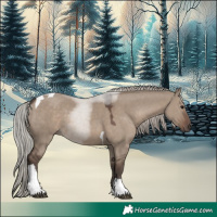 Horse Color:Silver Grullo Tobiano