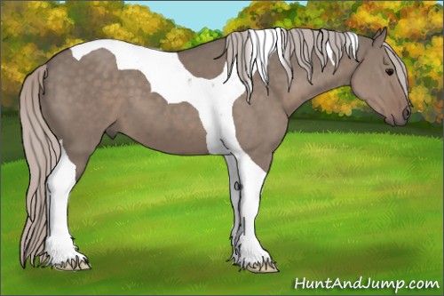 Horse Color:Silver Grullo Tobiano 