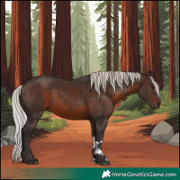 Horse Color:Silver Brown Tobiano 