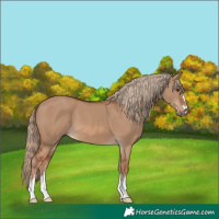 Horse Color:Red Dun