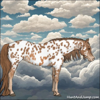 Horse Color:Chestnut Near Leopard 