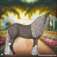 Horse Color:Silver Black 