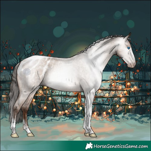 Horse Color:Gray Amber Champagne Roan Tobiano Frame Appaloosa 