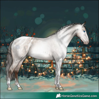 Horse Color:Gray Amber Champagne Roan Tobiano Frame Appaloosa 