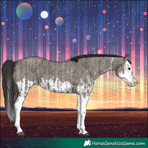 Horse Color:Smoky Grullo Sabino Splash and Smoky Grullo Sabino Splash