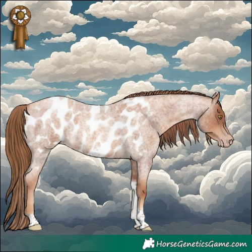 Horse Color:Gray Gold Champagne Roan Tobiano Frame Appaloosa 