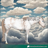 Horse Color:Gray Gold Champagne Roan Tobiano Frame Near Leopard 