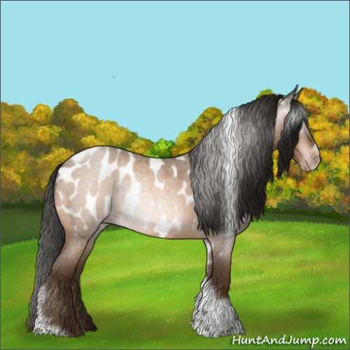 Horse Color:Gray Amber Champagne Roan Tobiano Frame Appaloosa 