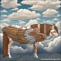 Horse Color:Gray Gold Champagne Roan Tobiano Frame Leopard
