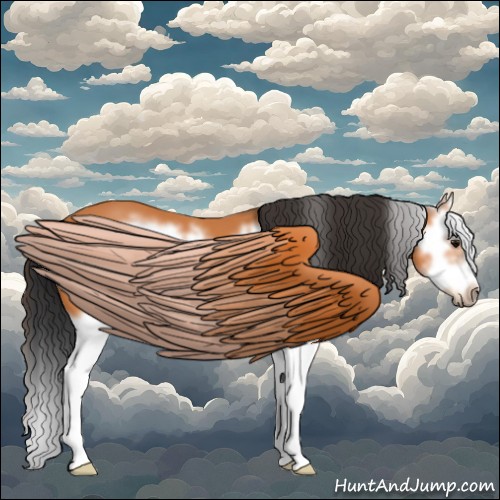 Horse Color:Bay Splash Frame