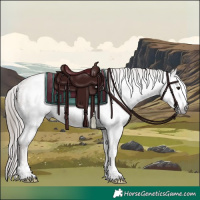 Horse Color:Gray Classic Champagne Roan Tobiano Frame Appaloosa 