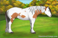 Horse Color:Bay Splash Tobiano Varnish and Bay Splash Tobiano Varnish Rabicano