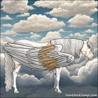 Horse Color:Gray Silver Amber Cream Champagne Roan Dun Splash Tobiano Frame Appaloosa Rabicano 