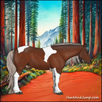 Horse Color:Silver Bay Tobiano