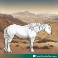 Horse Color:Gray Sable Cream Champagne Roan Tobiano Frame Appaloosa 