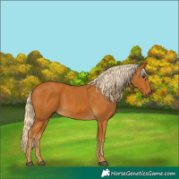 Horse Color:Palomino 