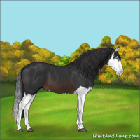 Horse Color:Brown Splash 