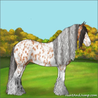 Horse Color:Bay Splash Tobiano Near Leopard  and Bay Splash Tobiano Near Leopard Rabicano 