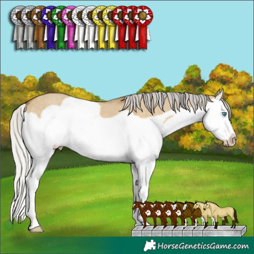 Horse Color:Silver Classic Cream Champagne Dun Splash Frame 