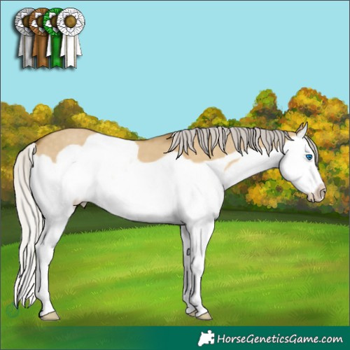 Horse Color:Silver Classic Cream Champagne Dun Splash Frame 