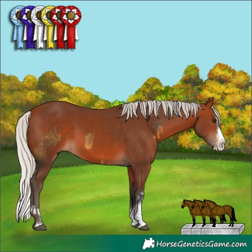 Horse Color:Silver Buckskin Sabino Rabicano  and Silver Brown Sabino Splash 