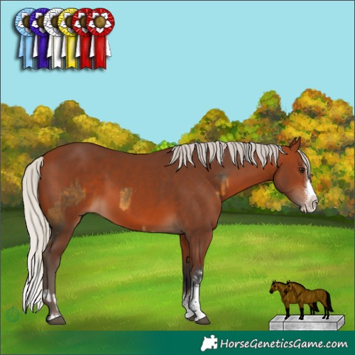 Horse Color:Silver Buckskin Sabino Rabicano  and Silver Brown Sabino Splash 