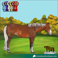 Horse Color:Silver Buckskin Sabino Rabicano  and Silver Brown Sabino Splash 