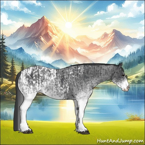 Horse Color:White Spotted Blue Roan Rabicano and White Spotted Blue Roan Appaloosa Rabicano