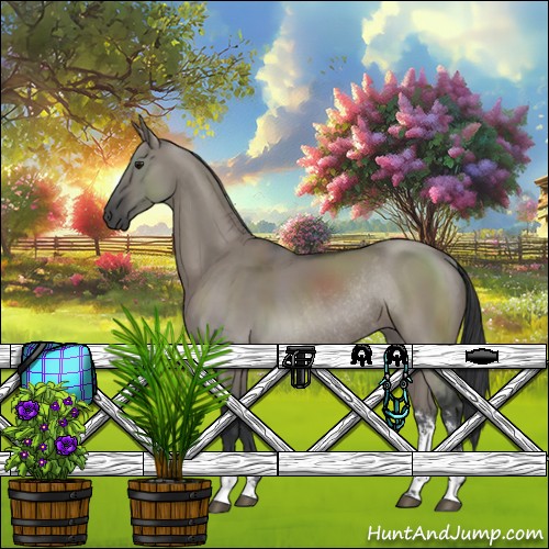 Horse Color:Grullo Sabino Rabicano 