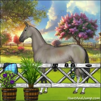 Horse Color:Grullo Sabino Rabicano 