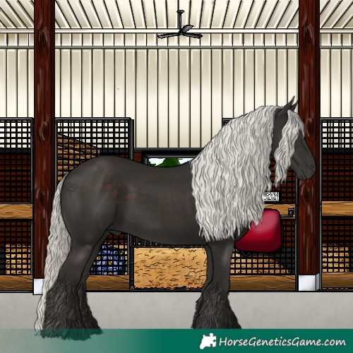Horse Color:Liver Chestnut Mushroom 