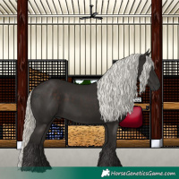 Horse Color:Liver Chestnut Mushroom 