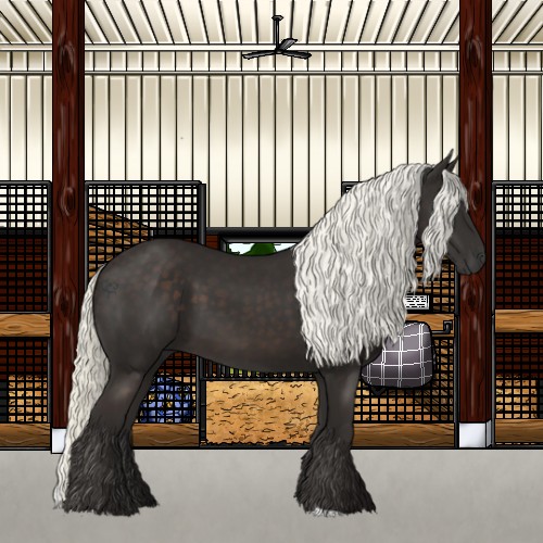 Horse Color:Liver Chestnut Mushroom 