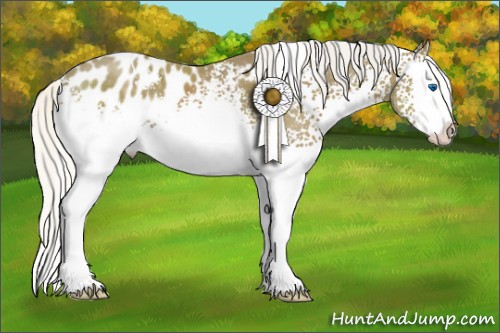 Horse Color:White Spotted Silver Smoky Black Sabino Splash Appaloosa Rabicano 