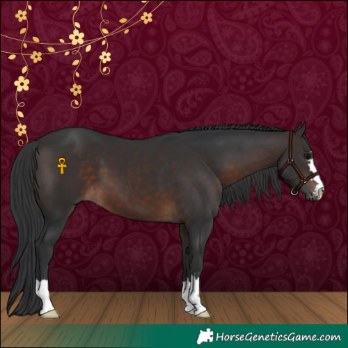 Horse Color:Brown 