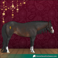 Horse Color:Brown 