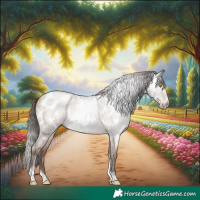 Horse Color:Gray Amber Champagne Roan Tobiano Frame Near Leopard 