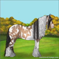 Horse Color:Gray Amber Champagne Roan Tobiano Frame Appaloosa