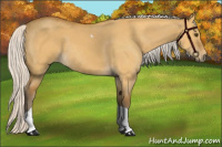 Horse Color:Silver Buckskin Dun Tobiano 