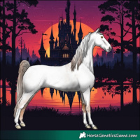Horse Color:Gray Gold Champagne Roan Tobiano Frame Near Leopard 