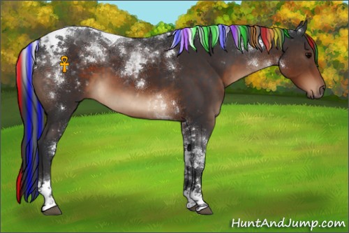 Horse Color:Painted Brown Tobiano 