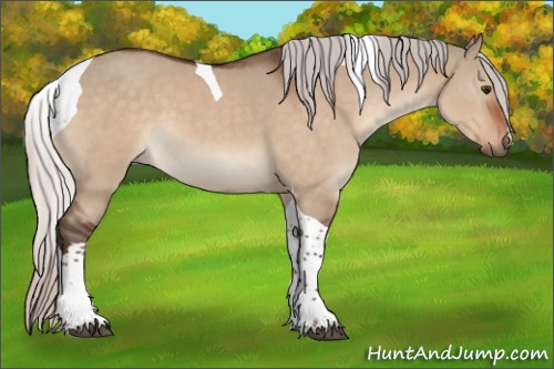 Horse Color:Silver Brown Dun Tobiano 