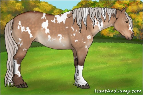 Horse Color:White Spotted Silver Brown Dun 