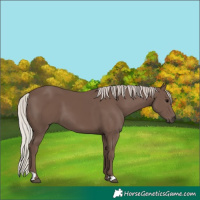 Horse Color:Silver Black 
